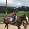 Horse Birthday Party at WildeWood Farm | Confetti Jar